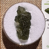 Moldavite 4.4 grams #2401-Moldavite Life