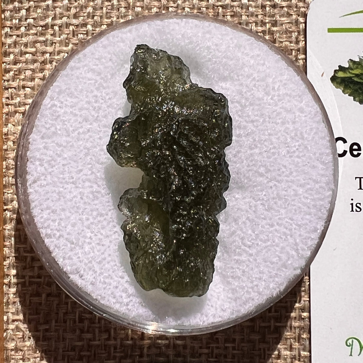 Moldavite 4.4 grams #2401-Moldavite Life