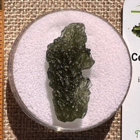 Moldavite 4.4 grams #2401-Moldavite Life