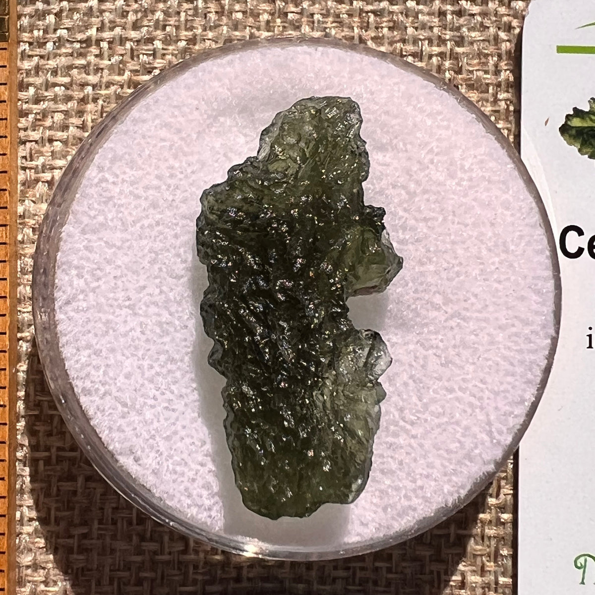 Moldavite 4.4 grams #2401-Moldavite Life