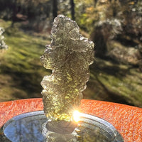 Moldavite 4.4 grams #2401-Moldavite Life