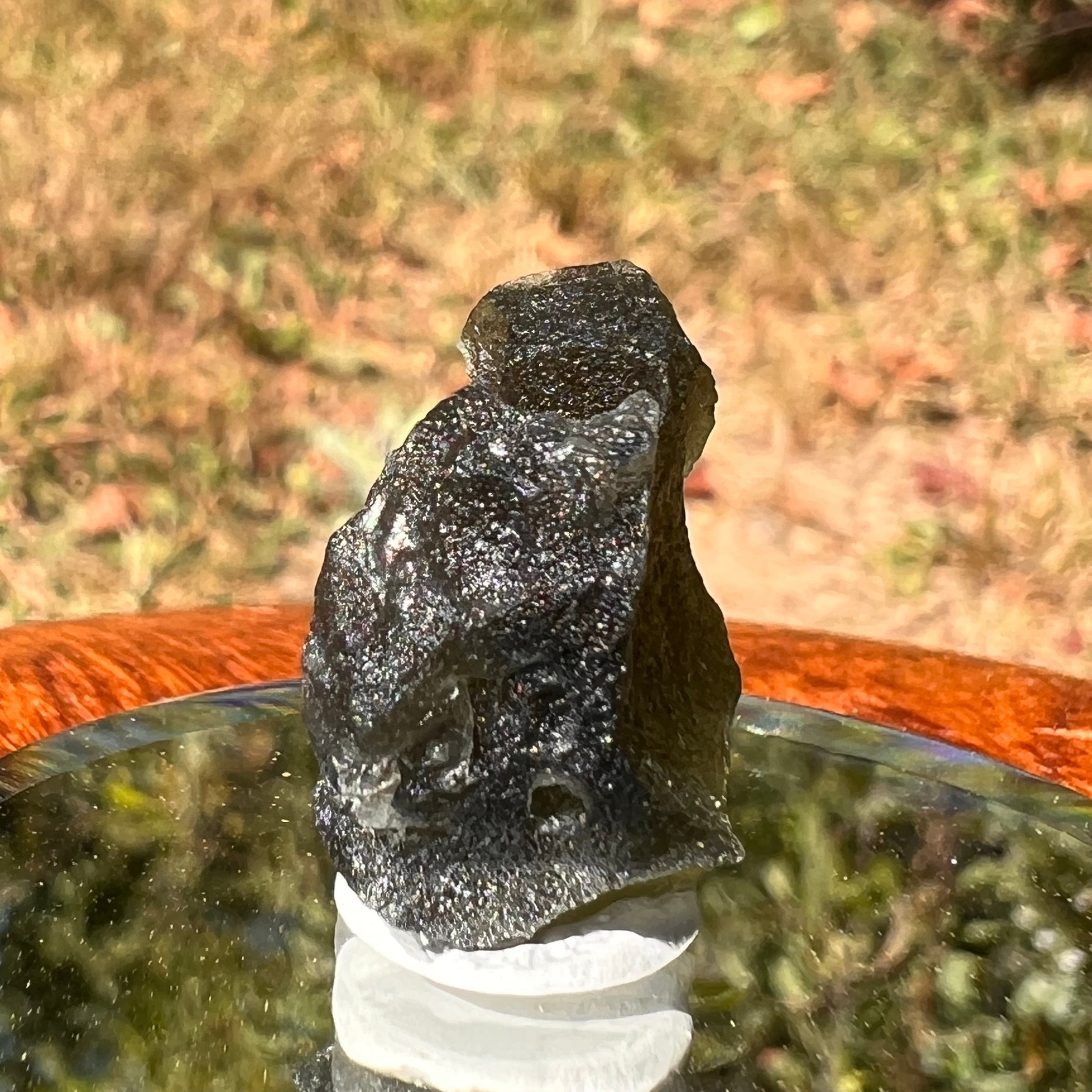 Moldavite 4.6 grams #1754-Moldavite Life