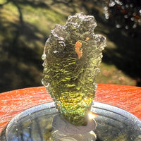 Moldavite 4.6 grams #2390-Moldavite Life