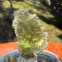 Moldavite 4.6 grams #2390-Moldavite Life