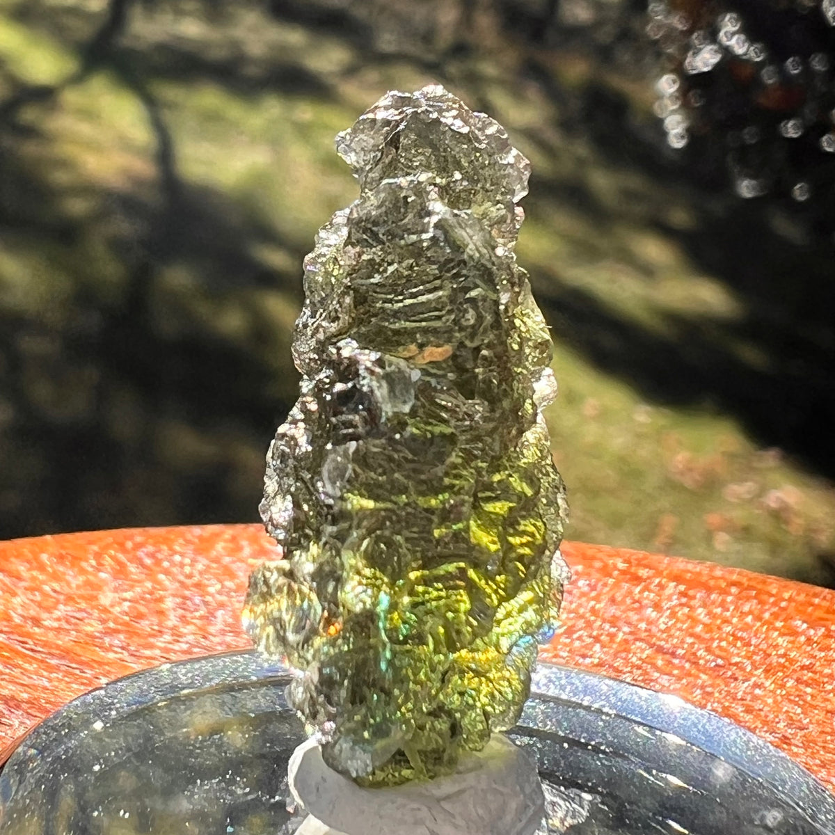 Moldavite 4.6 grams #2390-Moldavite Life