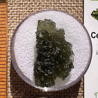 Moldavite 4.6 grams #2390-Moldavite Life