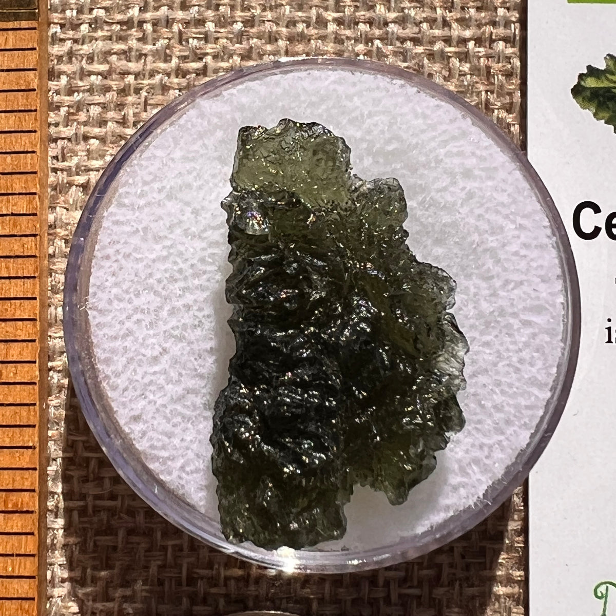 Moldavite 4.6 grams #2390-Moldavite Life