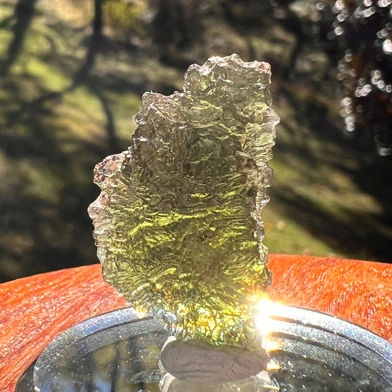 Moldavite 4.6 grams #2390-Moldavite Life
