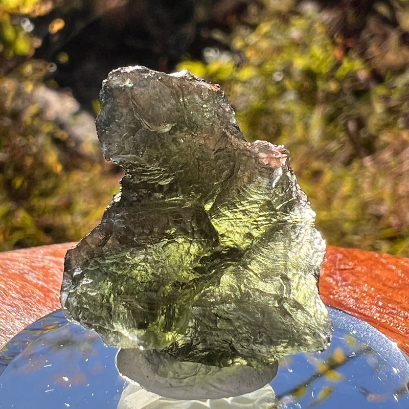 Moldavite 4.7 grams #2218-Moldavite Life