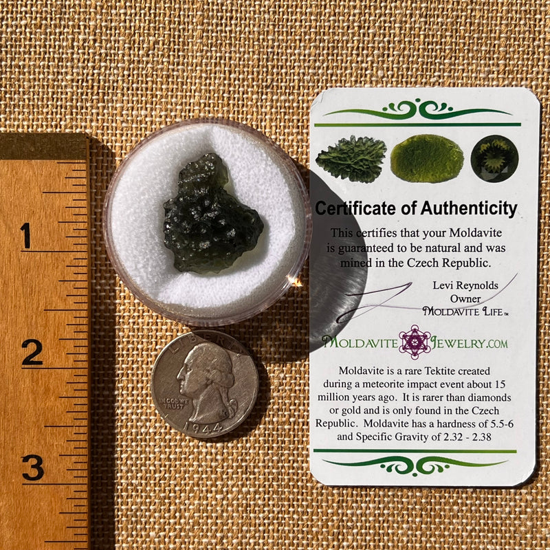 Moldavite 4.7 grams #2218-Moldavite Life