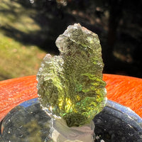 Moldavite 4.8 grams #2404-Moldavite Life