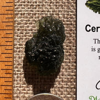 Moldavite 4.8 grams #2404-Moldavite Life