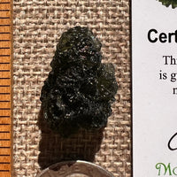 Moldavite 4.8 grams #2404-Moldavite Life