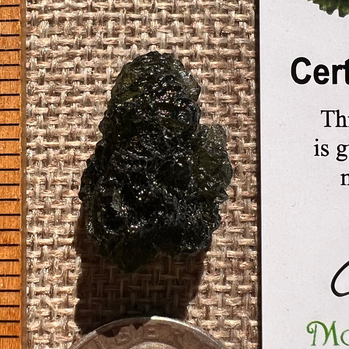 Moldavite 4.8 grams #2404-Moldavite Life