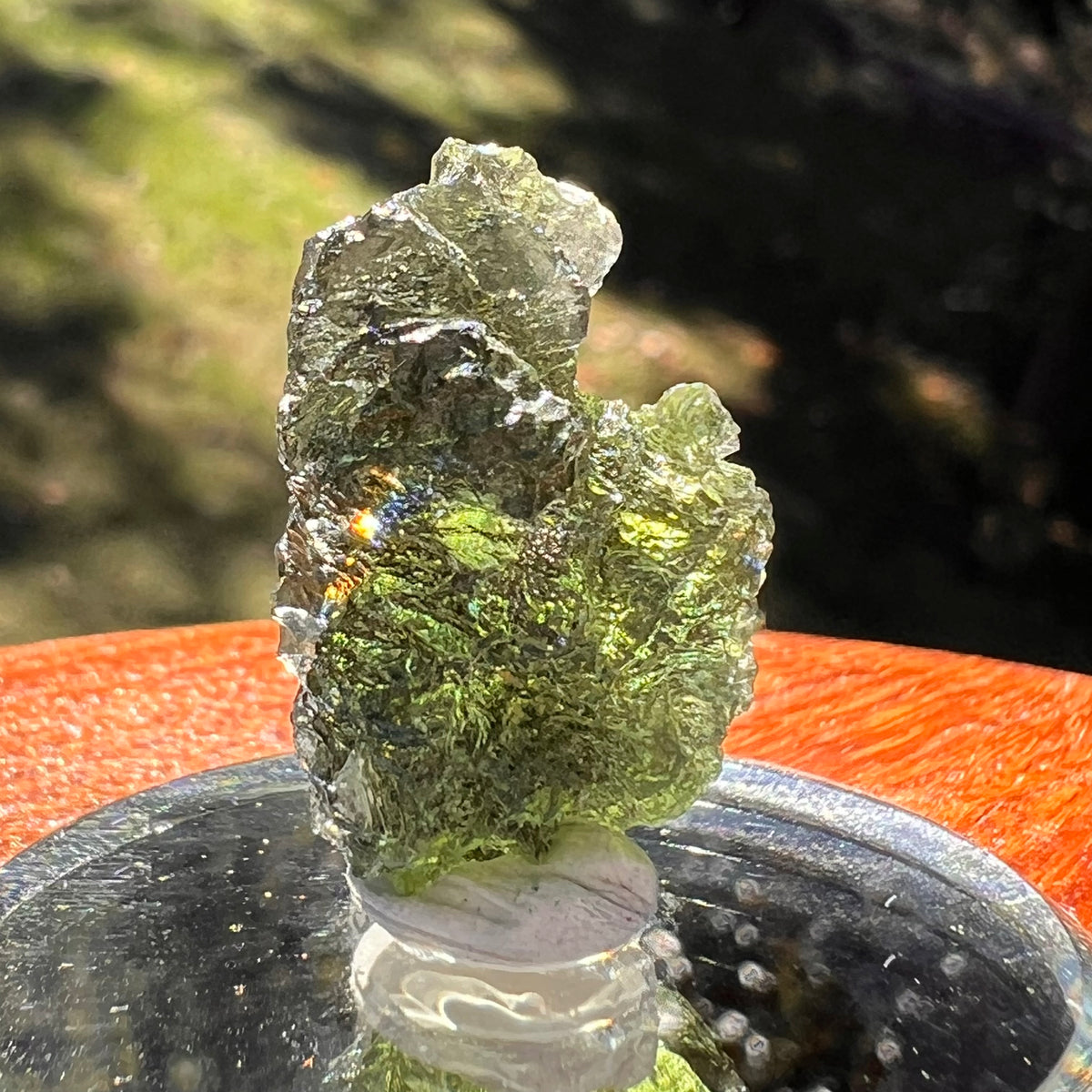 Moldavite 4.8 grams #2404-Moldavite Life