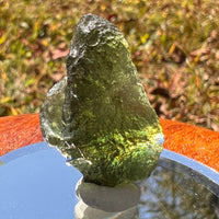 Moldavite 4.9 grams #1751-Moldavite Life