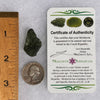 Moldavite 4.9 grams #1751-Moldavite Life