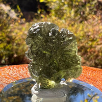 Moldavite 5.1 grams #2219-Moldavite Life