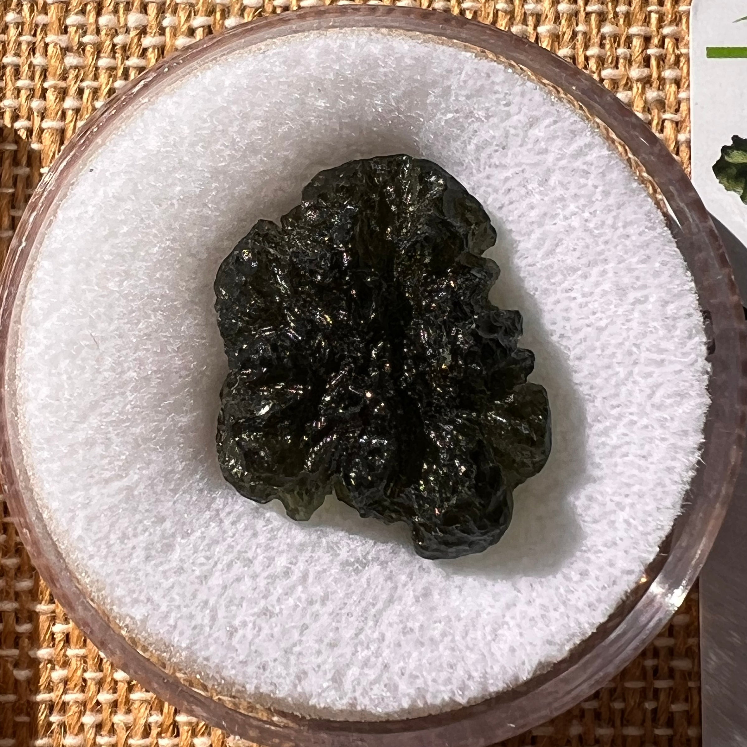 Moldavite 5.1 grams #2219-Moldavite Life
