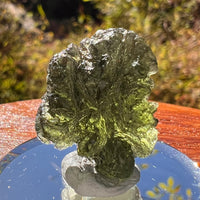 Moldavite 5.1 grams #2219-Moldavite Life