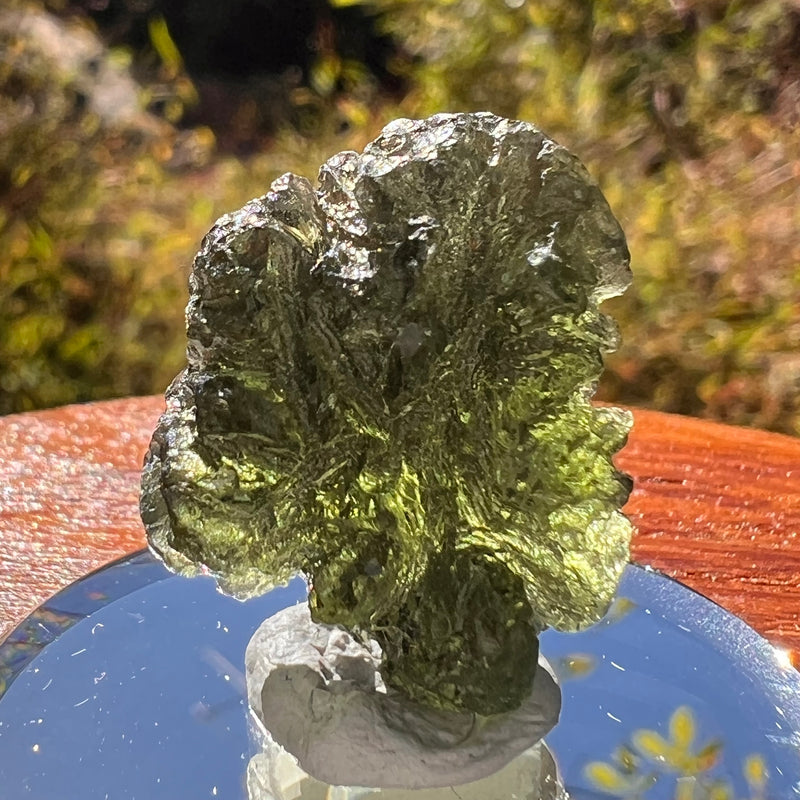 Moldavite 5.1 grams #2219-Moldavite Life