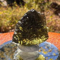 Moldavite 5.2 grams #2217-Moldavite Life