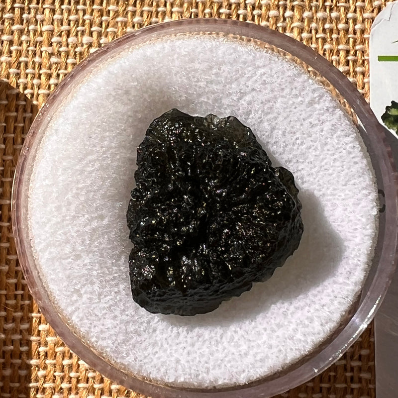 Moldavite 5.2 grams #2217-Moldavite Life