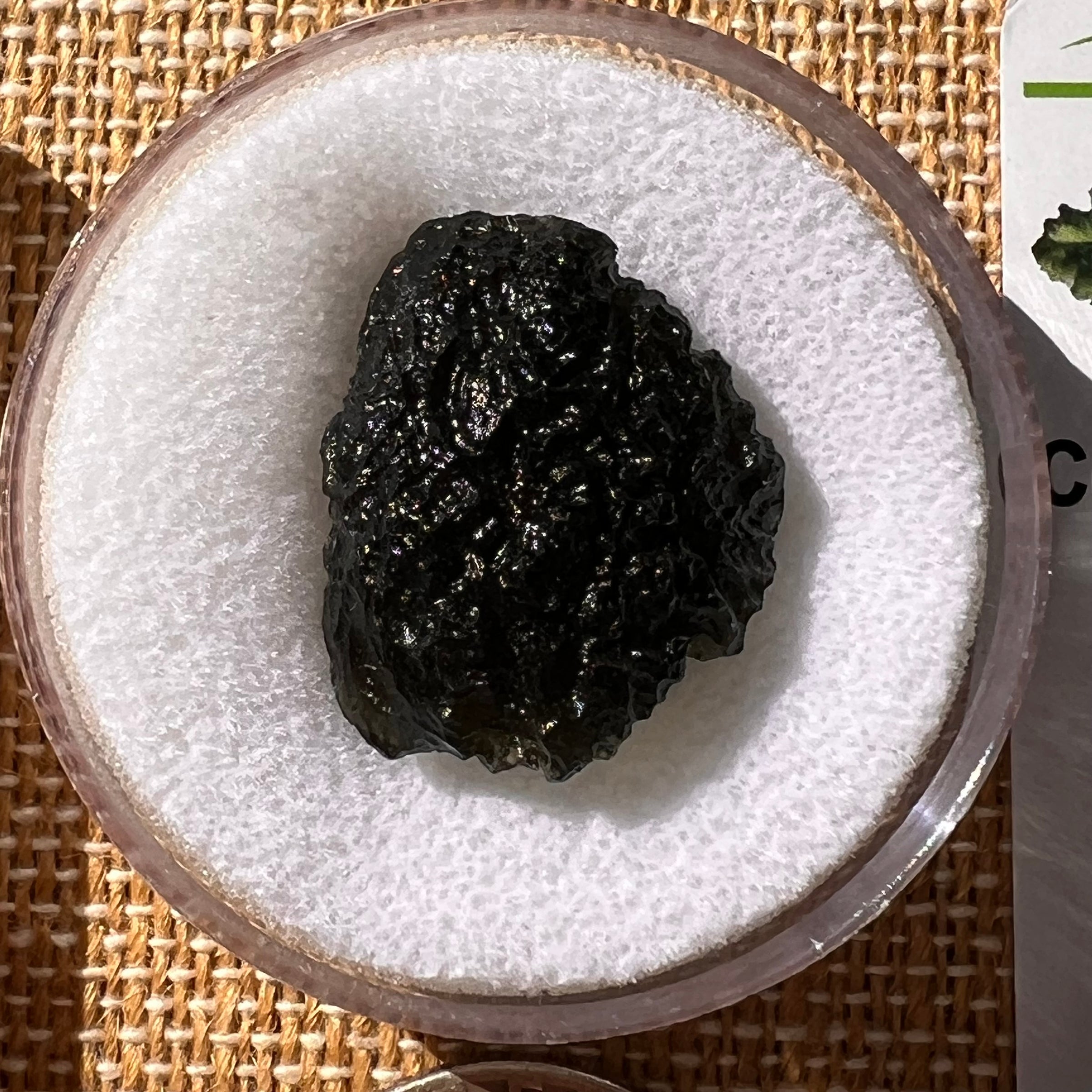 Moldavite 5.2 grams #2217-Moldavite Life