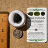 Moldavite 5.2 grams #2217-Moldavite Life