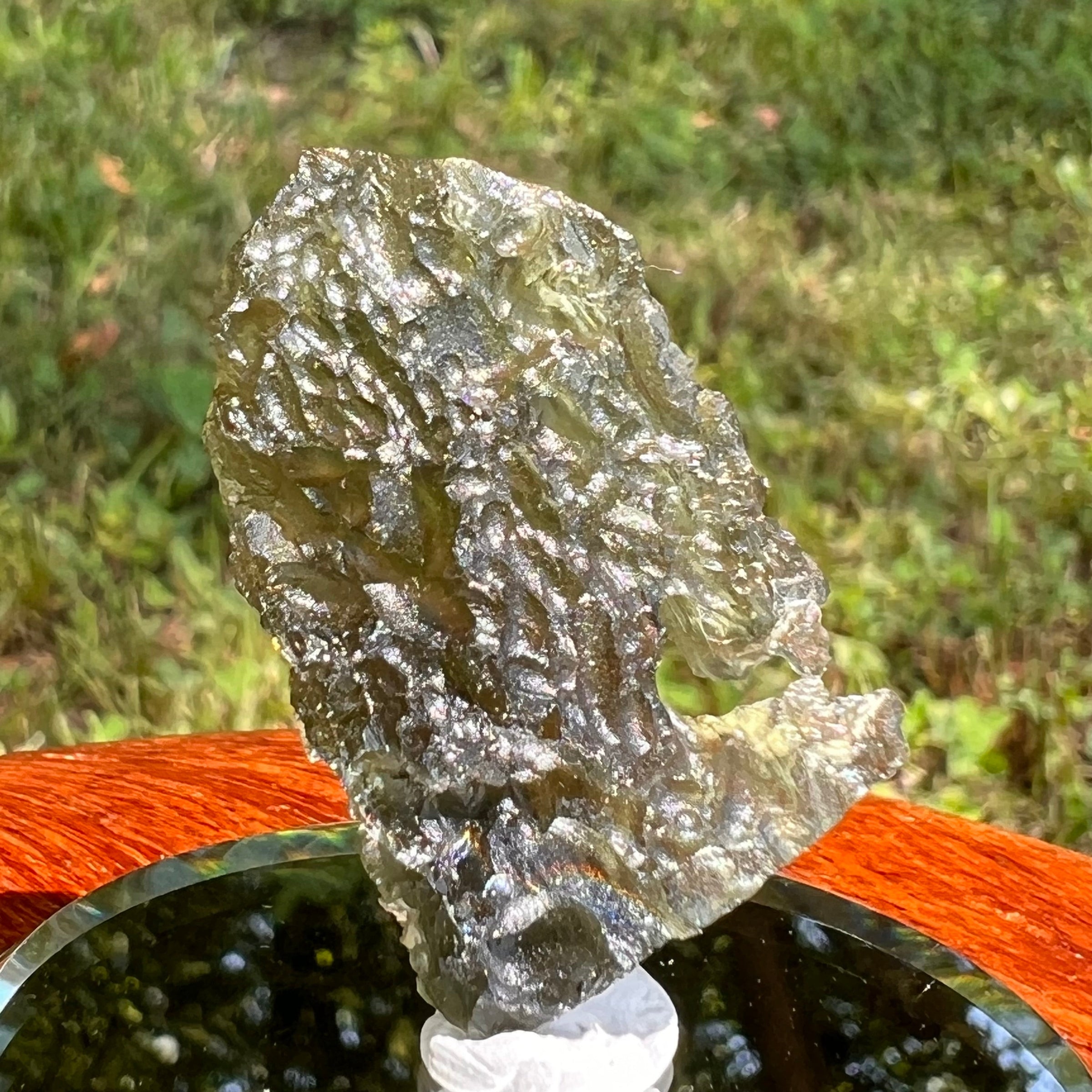 Moldavite 5.3 grams #1660-Moldavite Life