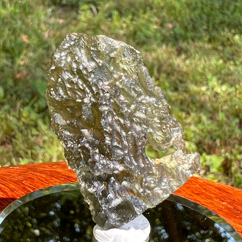 Moldavite 5.3 grams #1660-Moldavite Life