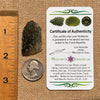 Moldavite 5.3 grams #1660-Moldavite Life