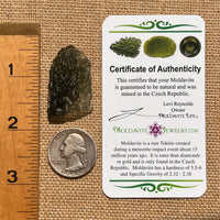 Moldavite 5.3 grams #1660-Moldavite Life