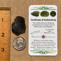 Moldavite 5.4 grams #1661-Moldavite Life
