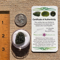 Moldavite 5.4 grams #1957-Moldavite Life