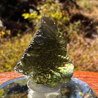Moldavite 6.1 grams #2220-Moldavite Life