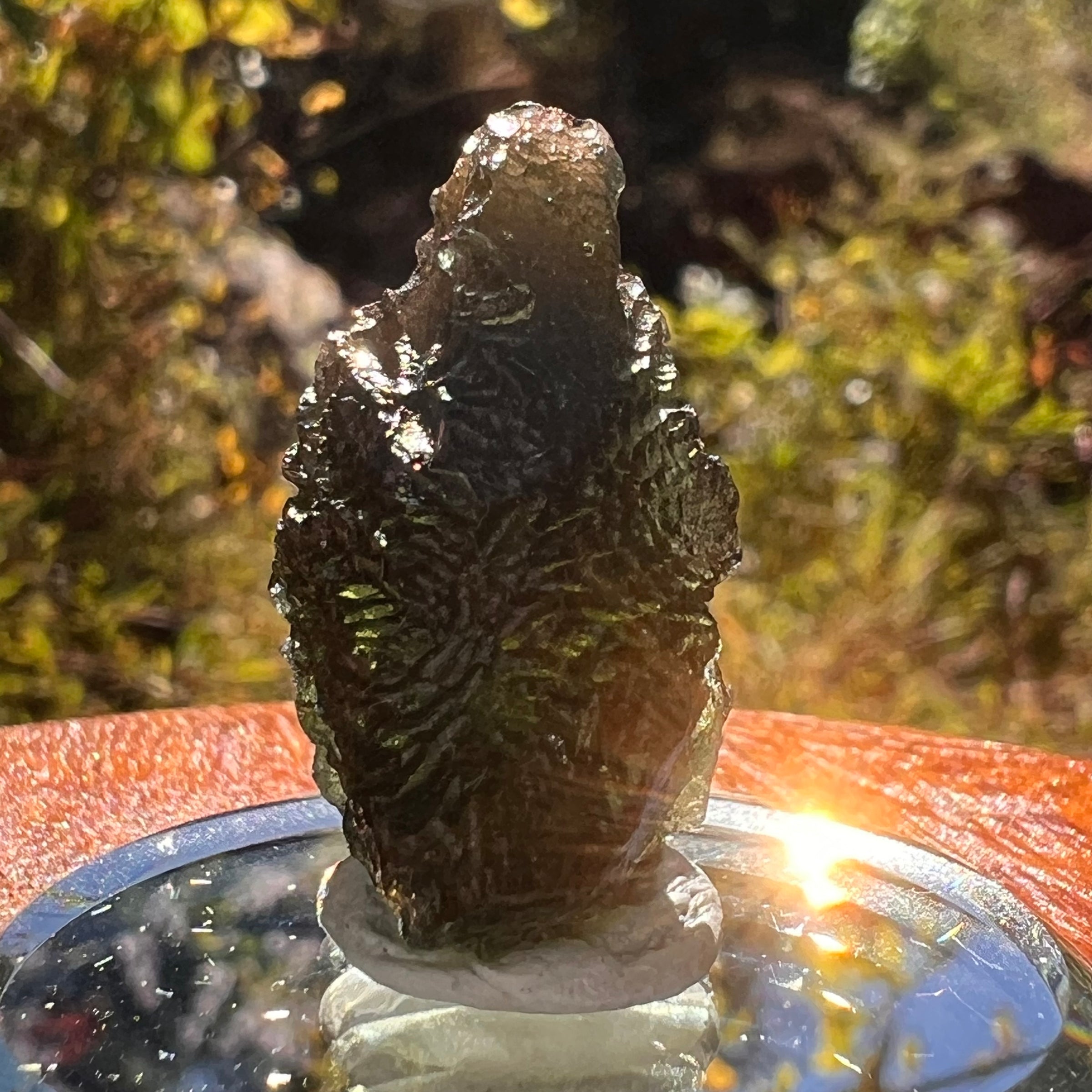 Moldavite 6.1 grams #2220-Moldavite Life