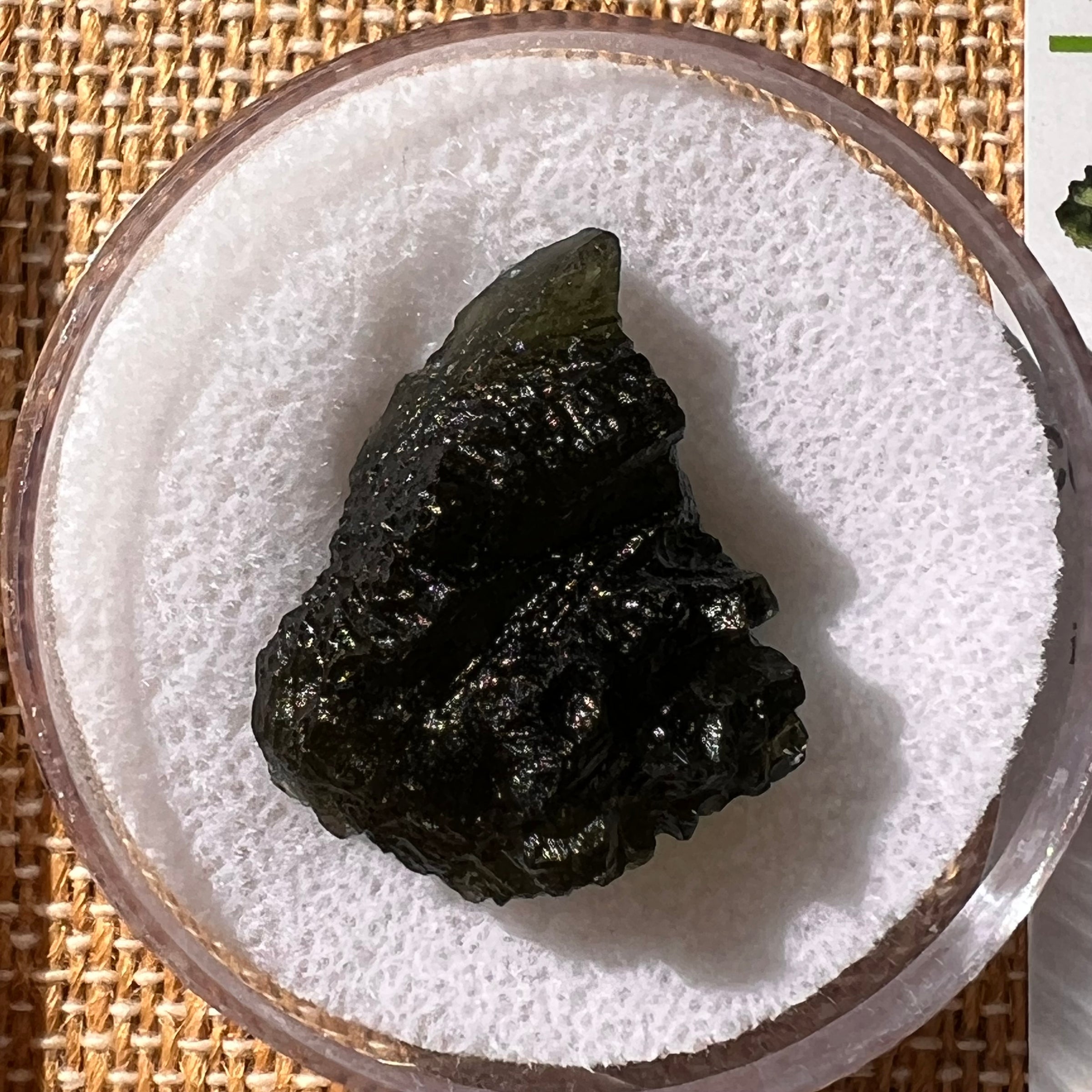 Moldavite 6.1 grams #2220-Moldavite Life