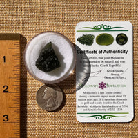 Moldavite 6.1 grams #2220-Moldavite Life