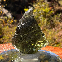 Moldavite 6.1 grams #2220-Moldavite Life