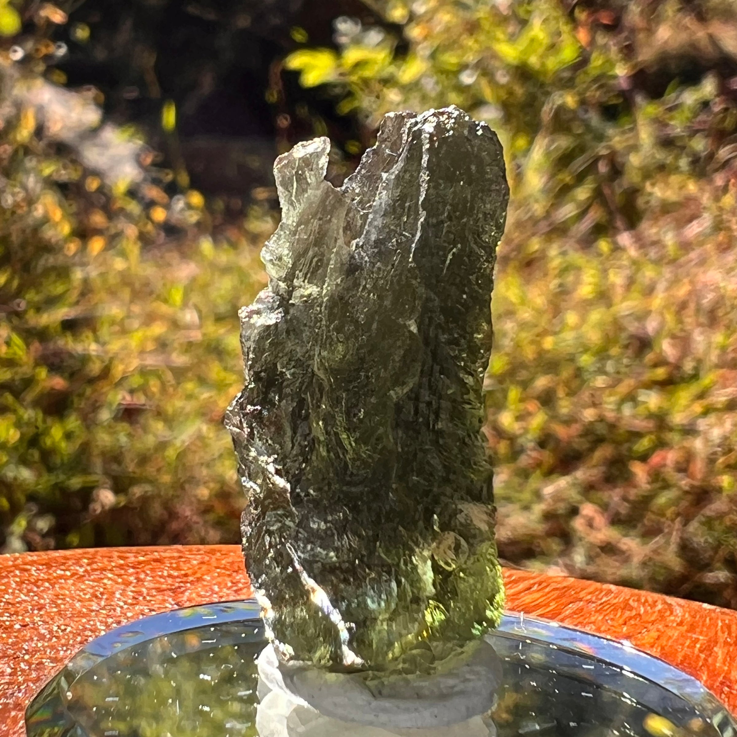 Moldavite 6.3 grams #2221-Moldavite Life