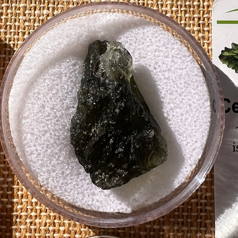 Moldavite 6.3 grams #2221-Moldavite Life