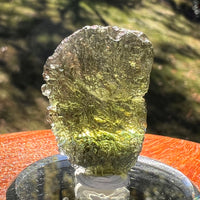 Moldavite 6.3 grams #2402-Moldavite Life