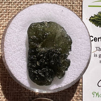 Moldavite 6.3 grams #2402-Moldavite Life