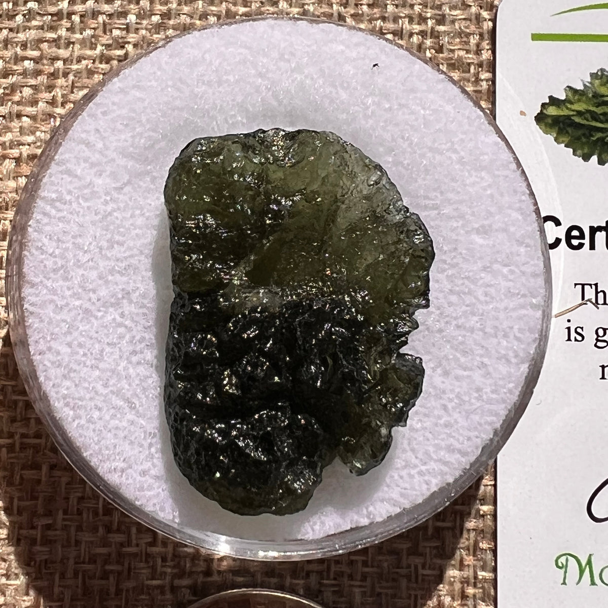 Moldavite 6.3 grams #2402-Moldavite Life