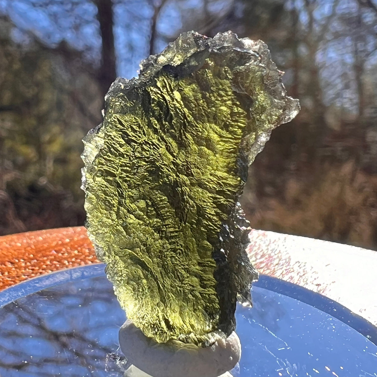 Moldavite 6.6 grams #1956-Moldavite Life