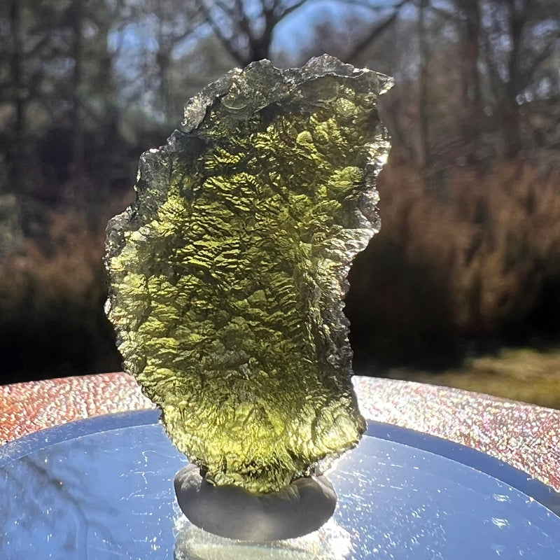 Moldavite 6.6 grams #1956-Moldavite Life