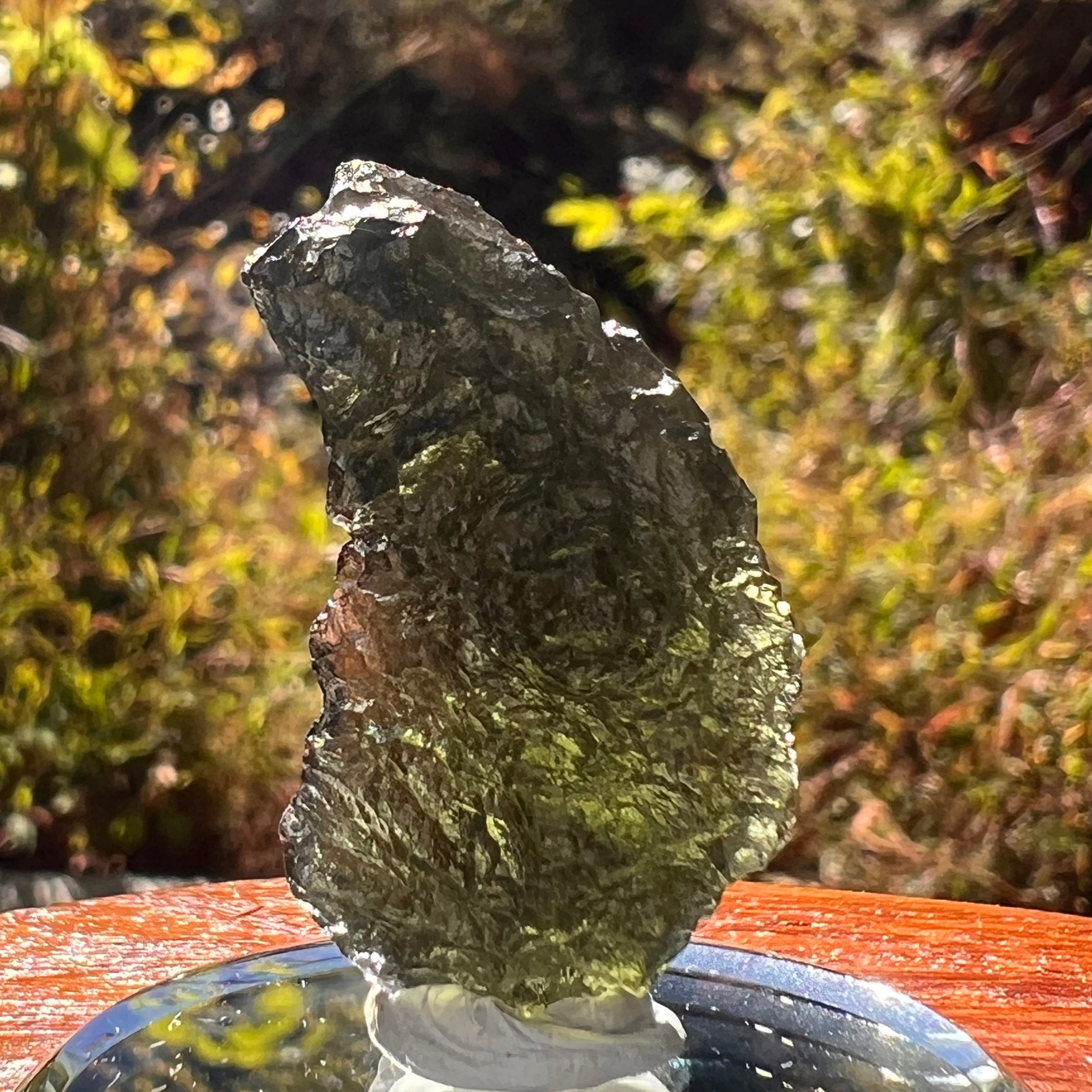 Moldavite 6.6 grams #2222-Moldavite Life