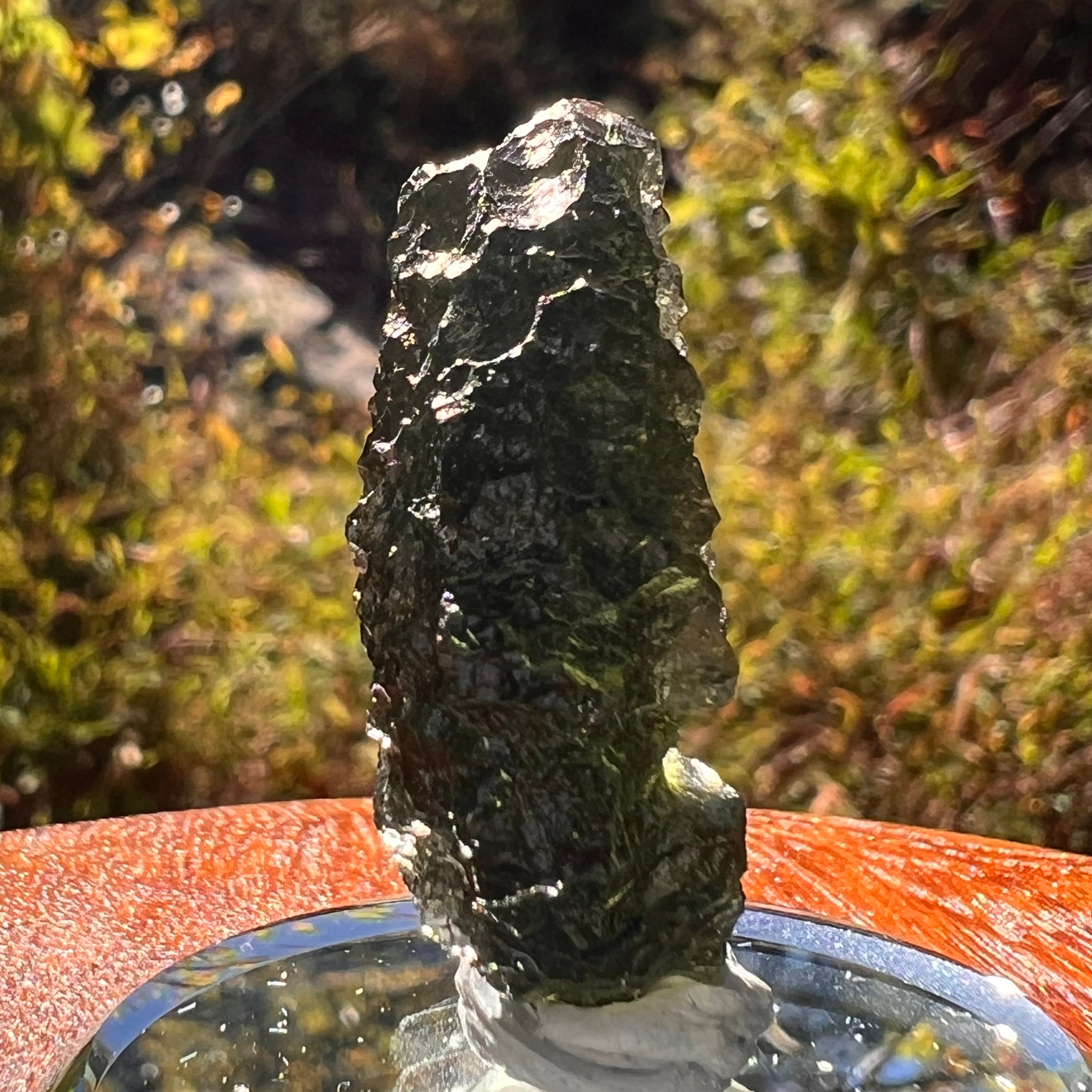 Moldavite 6.6 grams #2222-Moldavite Life