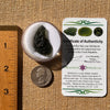 Moldavite 6.6 grams #2222-Moldavite Life